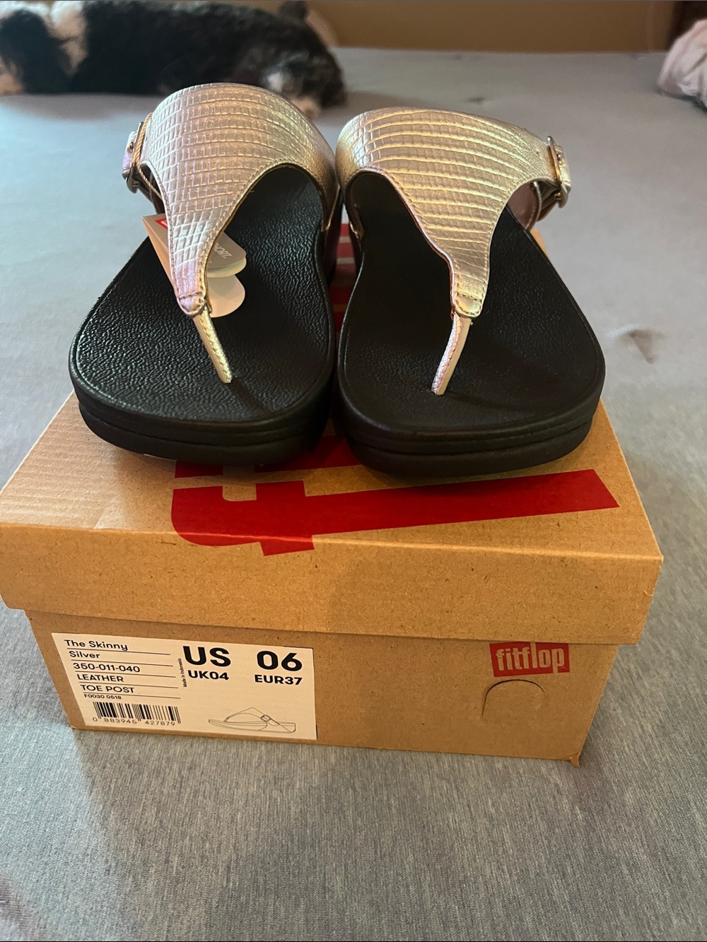 The Skinny FitFlop Silver Textured Toe-Post Sandals for Women